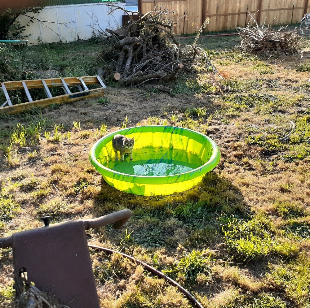 Meet your Posher, Caroline